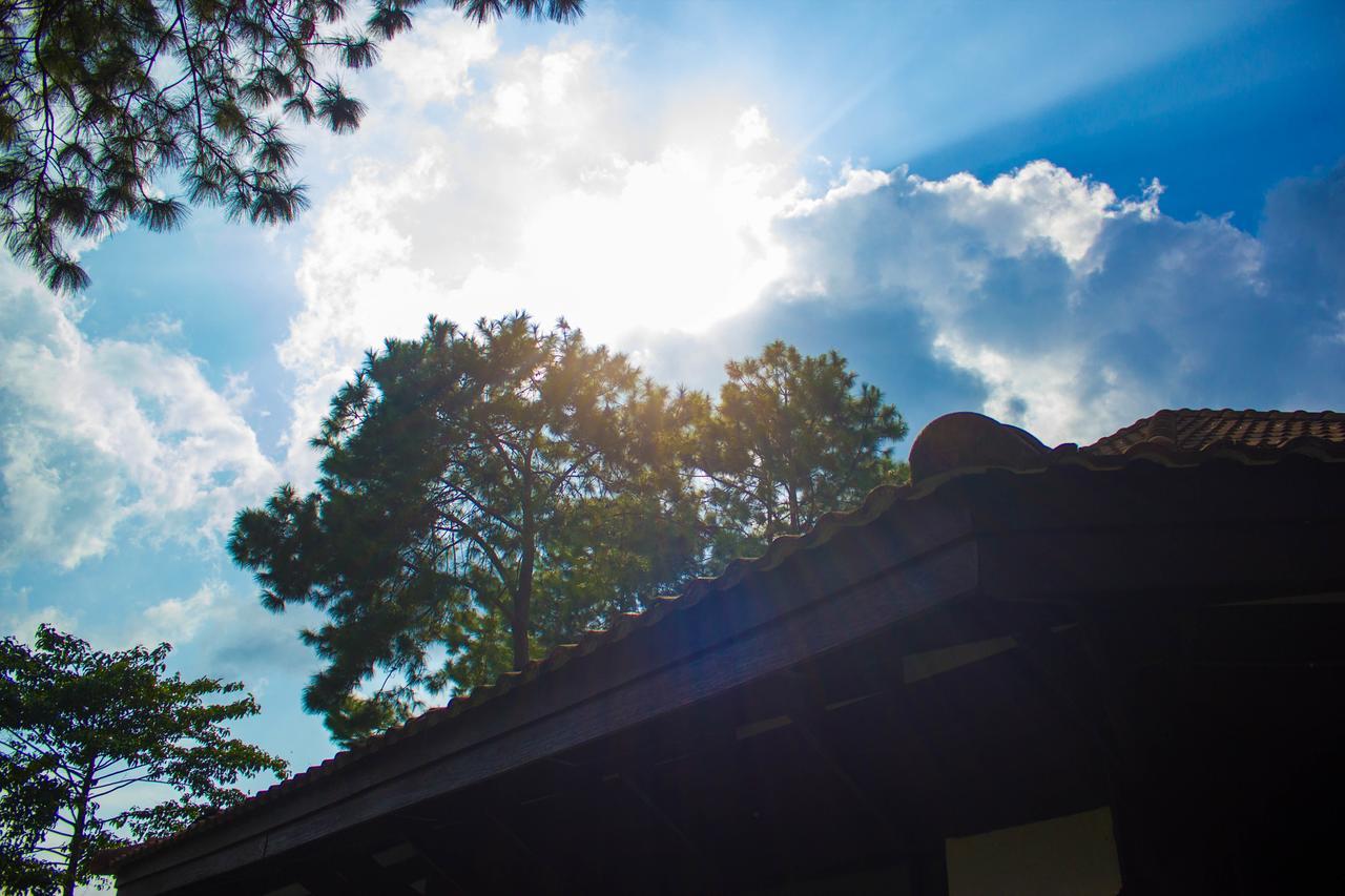 Bird Land Resort カオコー エクステリア 写真