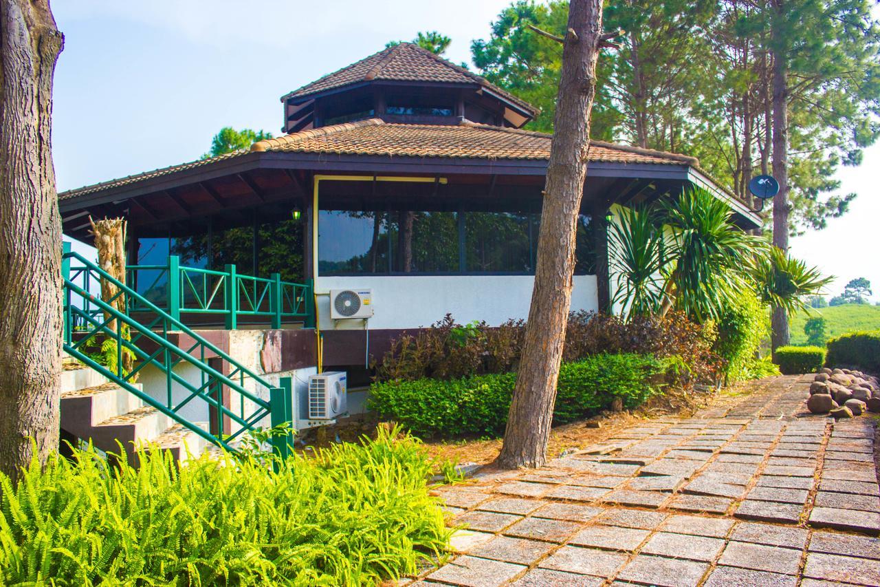 Bird Land Resort カオコー エクステリア 写真